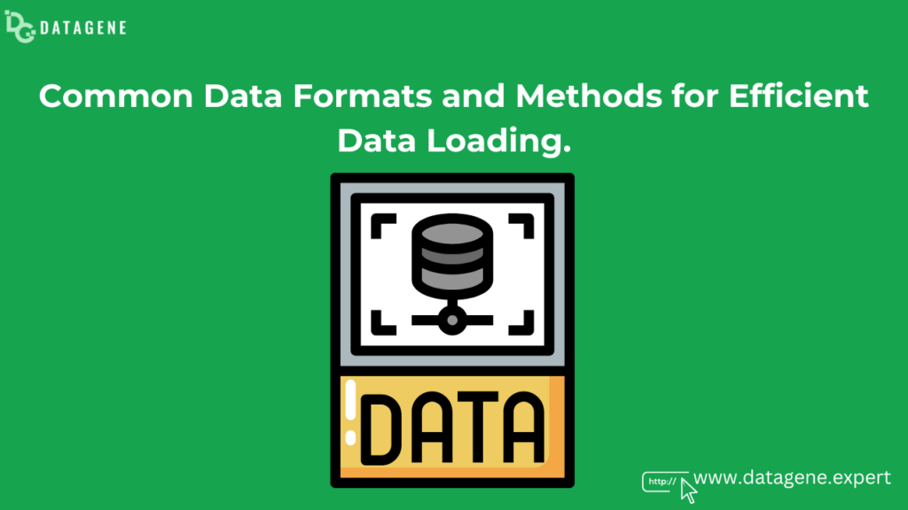 Common Data Formats and Methods for Efficient Data Loading.