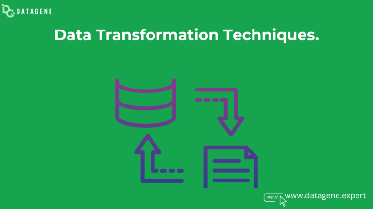 The Fundamentals of Data Preprocessing: Cleaning, Normalizing, and Transforming Data with Datagene Limited